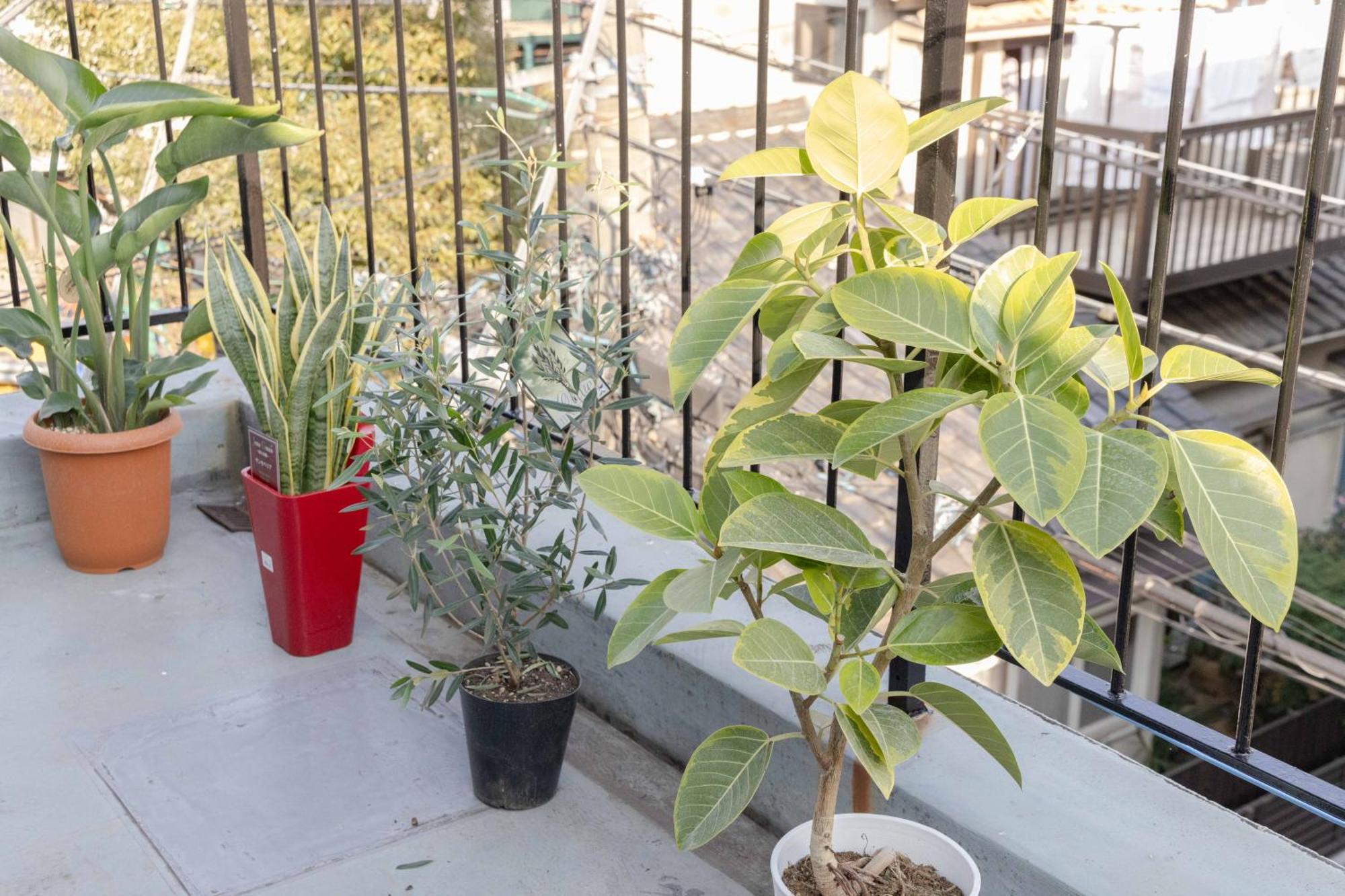 Buran House Διαμέρισμα Τόκιο Εξωτερικό φωτογραφία